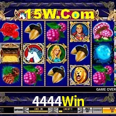 Experiência VIP 4444Win